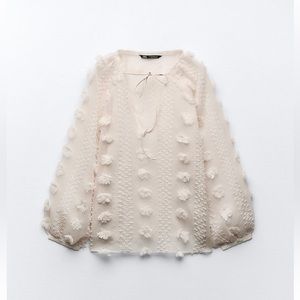 Floral Appliqué Blouse - Zara - Small (NWT)